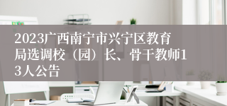 2023广西南宁市兴宁区教育局选调校（园）长、骨干教师13人公告