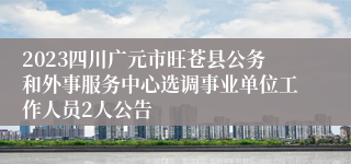 2023四川广元市旺苍县公务和外事服务中心选调事业单位工作人员2人公告