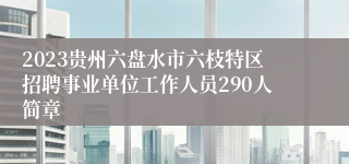 2023贵州六盘水市六枝特区招聘事业单位工作人员290人简章