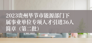 2023贵州毕节市能源部门下属事业单位专项人才引进36人简章（第二批）