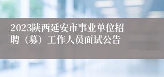 2023陕西延安市事业单位招聘（募）工作人员面试公告