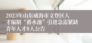 2023年山东威海市文登区人才编制“蓄水池”引进急需紧缺青年人才8人公告