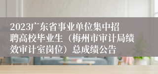 2023广东省事业单位集中招聘高校毕业生（梅州市审计局绩效审计室岗位）总成绩公告