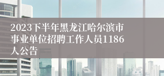 2023下半年黑龙江哈尔滨市事业单位招聘工作人员1186人公告