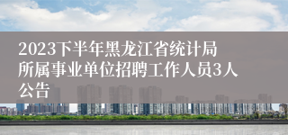 2023下半年黑龙江省统计局所属事业单位招聘工作人员3人公告