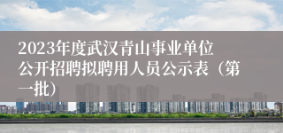 2023年度武汉青山事业单位公开招聘拟聘用人员公示表（第一批）