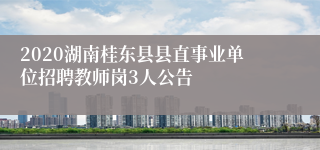 2020湖南桂东县县直事业单位招聘教师岗3人公告