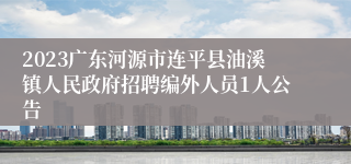 2023广东河源市连平县油溪镇人民政府招聘编外人员1人公告