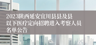 2023陕西延安宜川县县及县以下医疗定向招聘进入考察人员名单公告