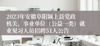 2023年安徽阜阳颍上县党政机关、事业单位（公益一类）就业见习人员招聘51人公告