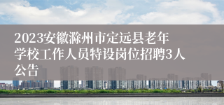 2023安徽滁州市定远县老年学校工作人员特设岗位招聘3人公告