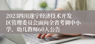 2023四川遂宁经济技术开发区管理委员会面向全省考调中小学、幼儿教师60人公告