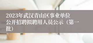 2023年武汉青山区事业单位公开招聘拟聘用人员公示（第一批）