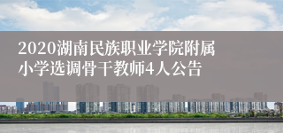 2020湖南民族职业学院附属小学选调骨干教师4人公告