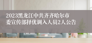 2023黑龙江中共齐齐哈尔市委宣传部择优调入人员2人公告