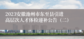 2023安徽池州市东至县引进高层次人才体检递补公告（二）