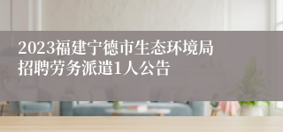 2023福建宁德市生态环境局招聘劳务派遣1人公告