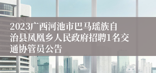 2023广西河池市巴马瑶族自治县凤凰乡人民政府招聘1名交通协管员公告