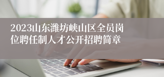 2023山东潍坊峡山区全员岗位聘任制人才公开招聘简章