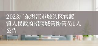 2023广东湛江市坡头区官渡镇人民政府招聘城管协管员1人公告