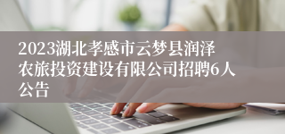 2023湖北孝感市云梦县润泽农旅投资建设有限公司招聘6人公告