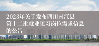 2023年关于发布四川南江县第十二批就业见习岗位需求信息的公告