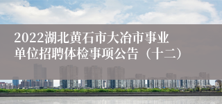 2022湖北黄石市大冶市事业单位招聘体检事项公告（十二）
