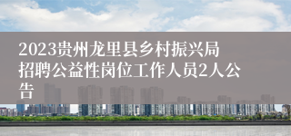 2023贵州龙里县乡村振兴局招聘公益性岗位工作人员2人公告