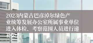 2023内蒙古巴彦淖尔绿色产业统筹发展办公室所属事业单位进入体检、考察范围人员进行递补公告