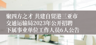 聚四方之才 共建自贸港三亚市交通运输局2023年公开招聘下属事业单位工作人员6人公告