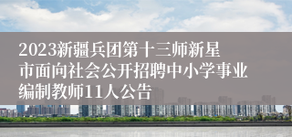 2023新疆兵团第十三师新星市面向社会公开招聘中小学事业编制教师11人公告