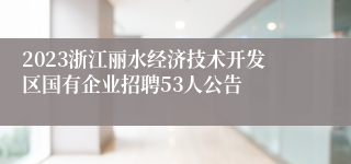 2023浙江丽水经济技术开发区国有企业招聘53人公告