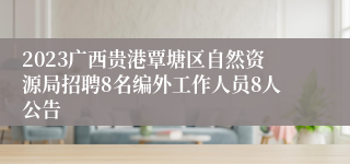 2023广西贵港覃塘区自然资源局招聘8名编外工作人员8人公告