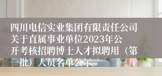 四川电信实业集团有限责任公司关于直属事业单位2023年公开考核招聘博士人才拟聘用（第一批）人员名单公示