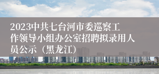 2023中共七台河市委巡察工作领导小组办公室招聘拟录用人员公示（黑龙江）