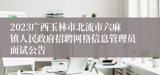 2023广西玉林市北流市六麻镇人民政府招聘网格信息管理员面试公告