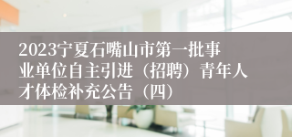 2023宁夏石嘴山市第一批事业单位自主引进（招聘）青年人才体检补充公告（四）