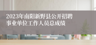 2023年南阳新野县公开招聘事业单位工作人员总成绩