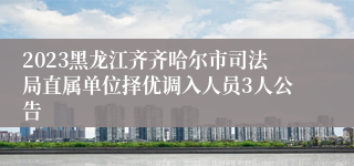 2023黑龙江齐齐哈尔市司法局直属单位择优调入人员3人公告