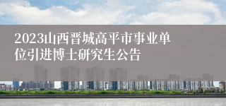 2023山西晋城高平市事业单位引进博士研究生公告