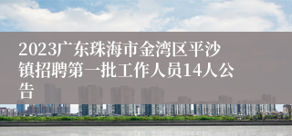 2023广东珠海市金湾区平沙镇招聘第一批工作人员14人公告