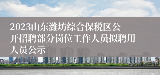 2023山东潍坊综合保税区公开招聘部分岗位工作人员拟聘用人员公示