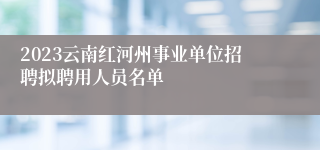 2023云南红河州事业单位招聘拟聘用人员名单