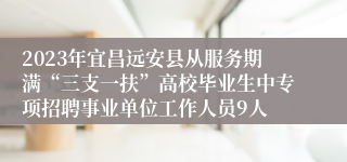 2023年宜昌远安县从服务期满“三支一扶”高校毕业生中专项招聘事业单位工作人员9人