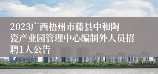 2023广西梧州市藤县中和陶瓷产业园管理中心编制外人员招聘1人公告
