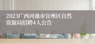 2023广西河池市宜州区自然资源局招聘4人公告