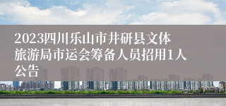 2023四川乐山市井研县文体旅游局市运会筹备人员招用1人公告