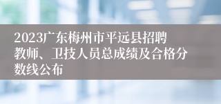 2023广东梅州市平远县招聘教师、卫技人员总成绩及合格分数线公布