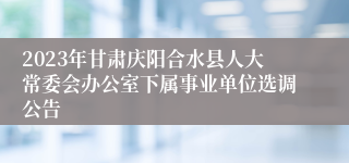 2023年甘肃庆阳合水县人大常委会办公室下属事业单位选调公告