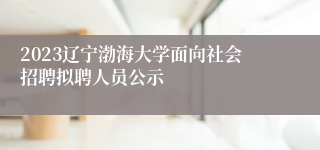 2023辽宁渤海大学面向社会招聘拟聘人员公示